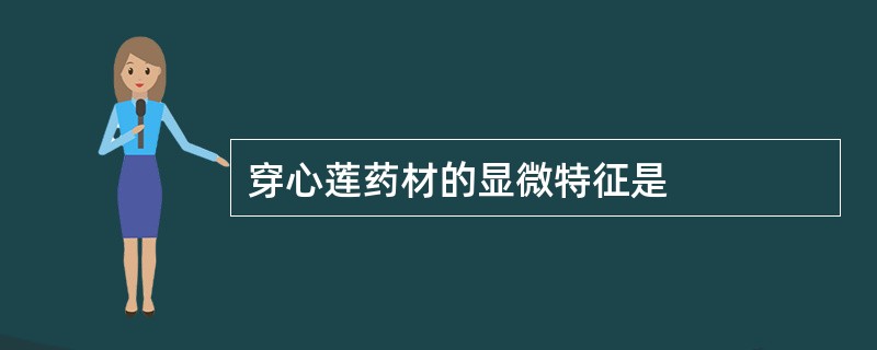 穿心莲药材的显微特征是