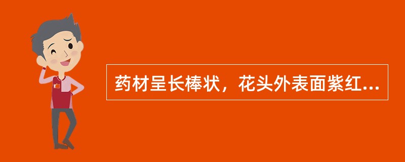 药材呈长棒状，花头外表面紫红色或淡红色，花头撕开后，有白色丝状绵毛的是