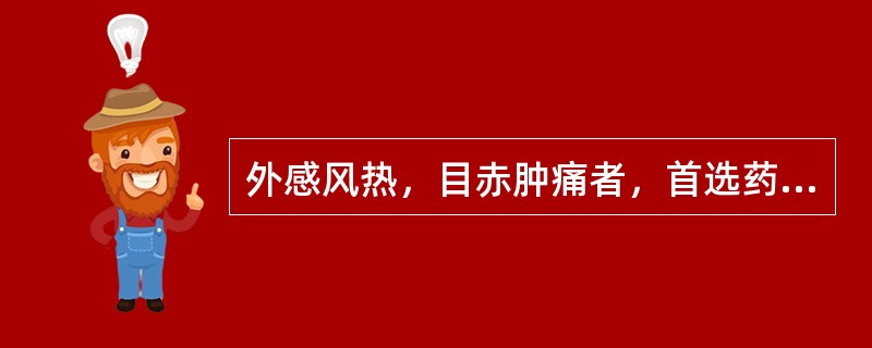 外感风热，目赤肿痛者，首选药物是