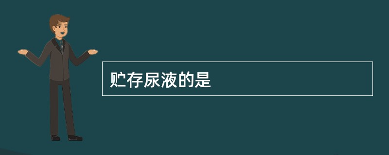贮存尿液的是