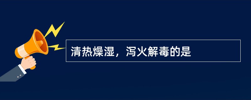 清热燥湿，泻火解毒的是