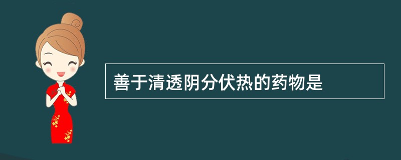 善于清透阴分伏热的药物是