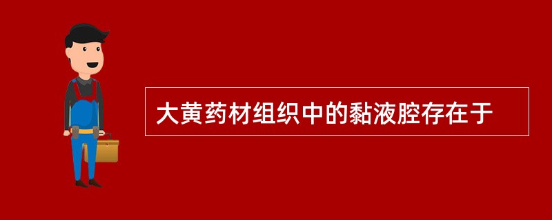 大黄药材组织中的黏液腔存在于