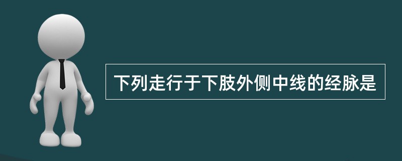 下列走行于下肢外侧中线的经脉是