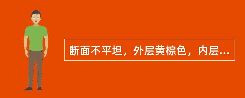 断面不平坦，外层黄棕色，内层灰白色的药材为