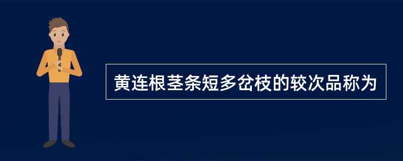 黄连根茎条短多岔枝的较次品称为