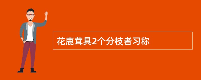 花鹿茸具2个分枝者习称