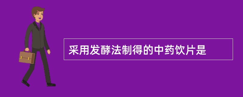 采用发酵法制得的中药饮片是