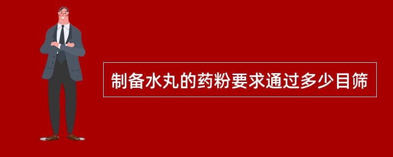 制备水丸的药粉要求通过多少目筛