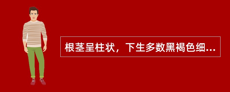 根茎呈柱状，下生多数黑褐色细根的药材为