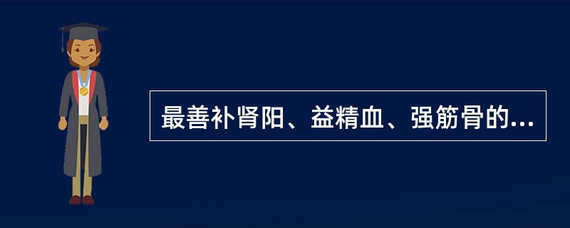 最善补肾阳、益精血、强筋骨的药物是