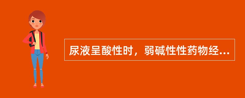 尿液呈酸性时，弱碱性性药物经尿排泄的情况正确的是