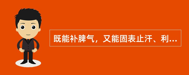 既能补脾气，又能固表止汗、利尿消肿的药物组是