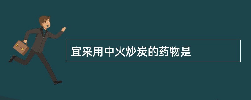 宜采用中火炒炭的药物是