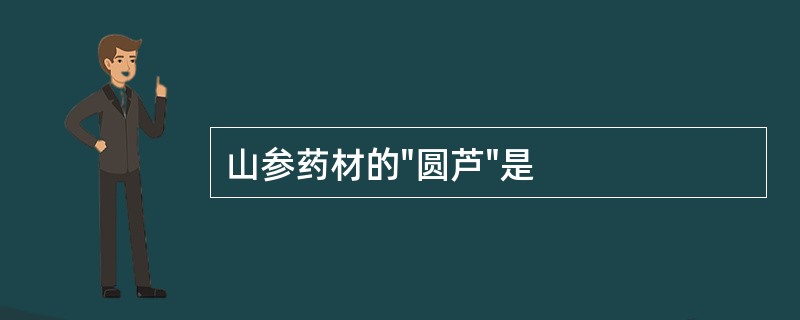 山参药材的"圆芦"是