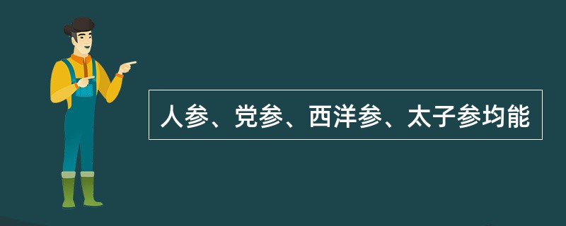 人参、党参、西洋参、太子参均能