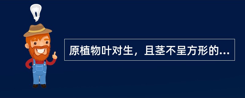 原植物叶对生，且茎不呈方形的药材是