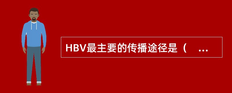 HBV最主要的传播途径是（　　）。