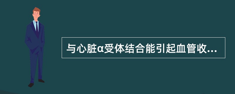 与心脏α受体结合能引起血管收缩的是（　　）。 