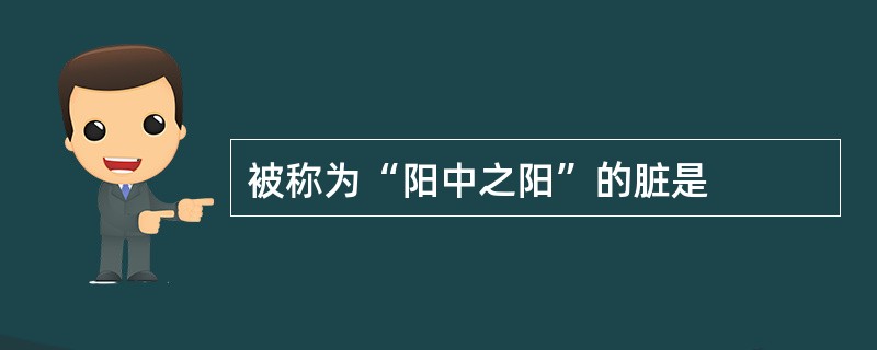 被称为“阳中之阳”的脏是
