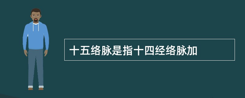 十五络脉是指十四经络脉加