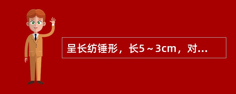 呈长纺锤形，长5～3cm，对光透视有一条不透明的木心，味甜微苦的药材是