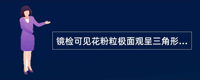 镜检可见花粉粒极面观呈三角形，有3副合沟，该药材是