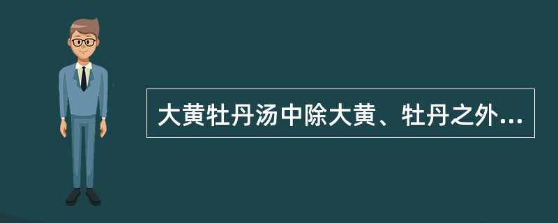 大黄牡丹汤中除大黄、牡丹之外还包括的药物是