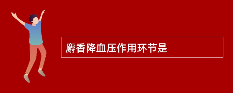 麝香降血压作用环节是