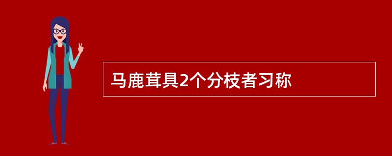 马鹿茸具2个分枝者习称