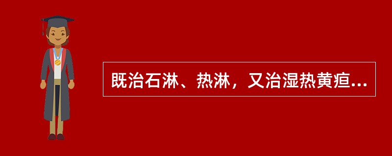 既治石淋、热淋，又治湿热黄疸的药物是