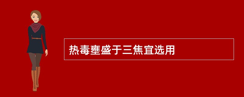 热毒壅盛于三焦宜选用