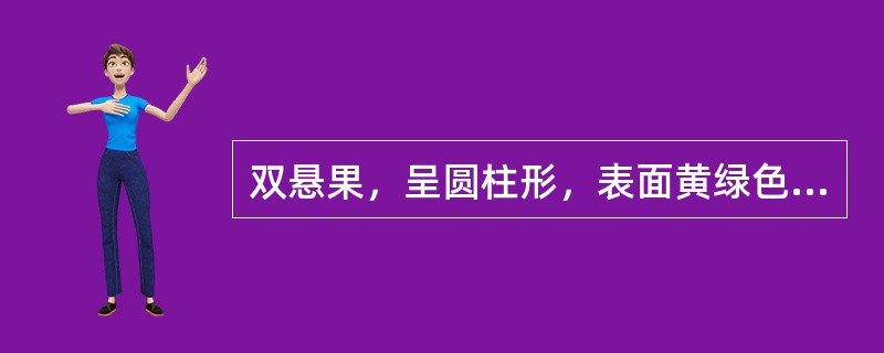 双悬果，呈圆柱形，表面黄绿色或淡黄色，分果呈长椭圆形，背面有纵棱5条，有此特征的药材是