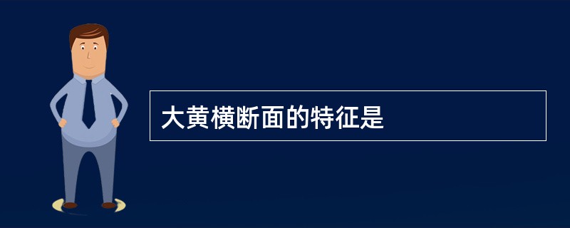 大黄横断面的特征是