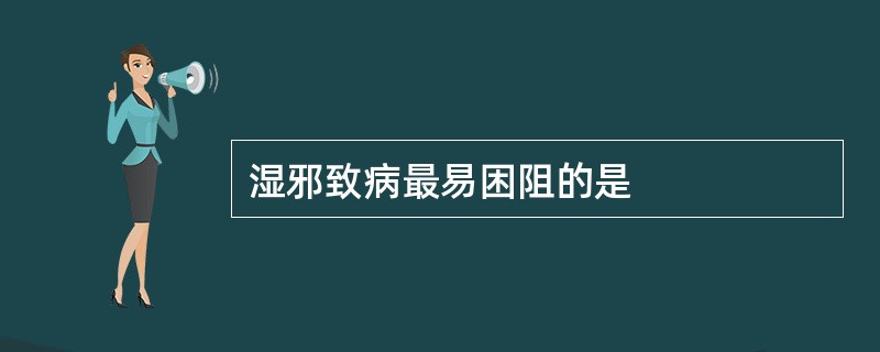 湿邪致病最易困阻的是