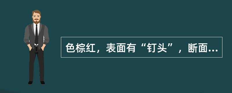 色棕红，表面有“钉头”，断面显层叠状者是