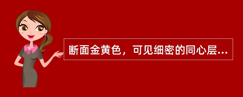 断面金黄色，可见细密的同心层纹的药材是