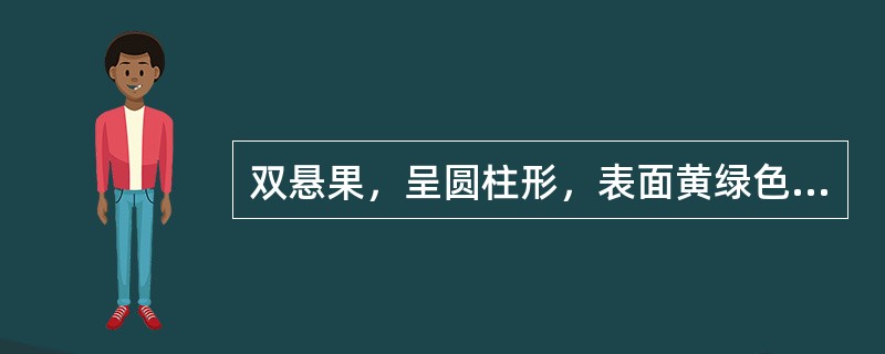 双悬果，呈圆柱形，表面黄绿色或淡黄色，分果呈长椭圆形，背面有纵棱5条，有此特征的药材是