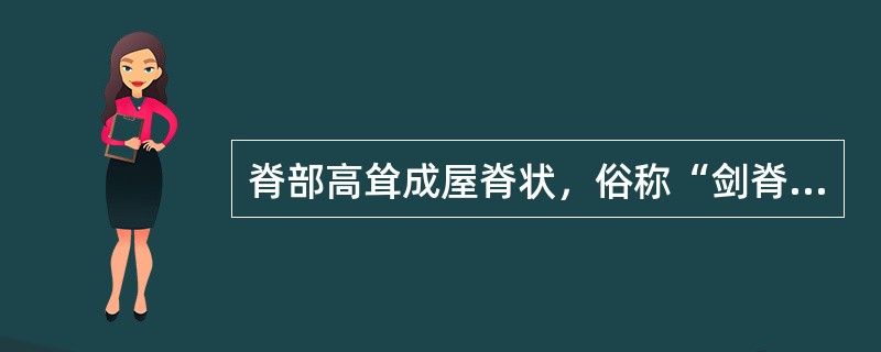 脊部高耸成屋脊状，俗称“剑脊”的药材是