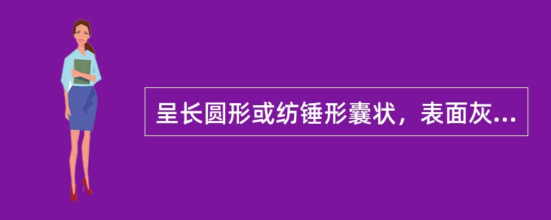 呈长圆形或纺锤形囊状，表面灰褐色或灰棕色，质硬而脆，易破碎，断面角质样，有光泽，气特异，味涩的药材是