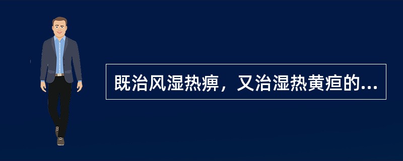 既治风湿热痹，又治湿热黄疸的药物是