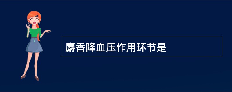 麝香降血压作用环节是