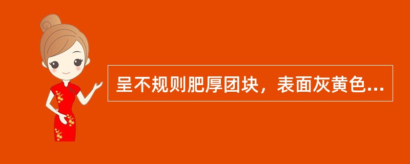 呈不规则肥厚团块，表面灰黄色或灰棕色，有不规则的瘤状突起和纵皱沟纹，顶端有残留茎基和芽痕。质坚硬，不易折断，断面不平坦，黄白色指淡棕色，有棕黄色的油点散在，气清香，味甜微辛，嚼之略带黏性，该药材为