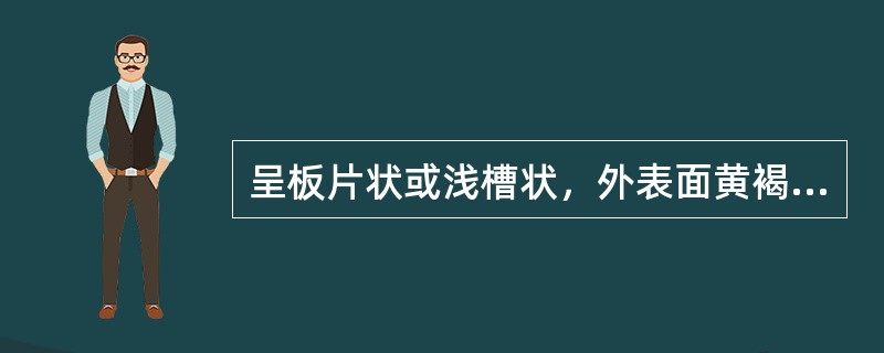 呈板片状或浅槽状，外表面黄褐色或黄棕色，内表面暗黄色或淡棕黄色。断面深黄色，纤维性，气微，味苦的药材是