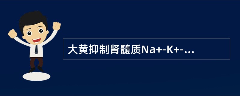 大黄抑制肾髓质Na+-K+-ATP酶，可