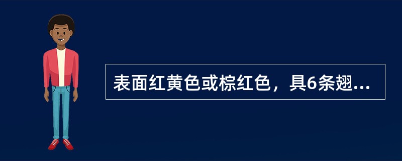 表面红黄色或棕红色，具6条翅状纵棱，棱间常有1条明显的纵脉纹，并有分枝。种子多数，深红色或红黄色，表面密具细小疣状突起的是