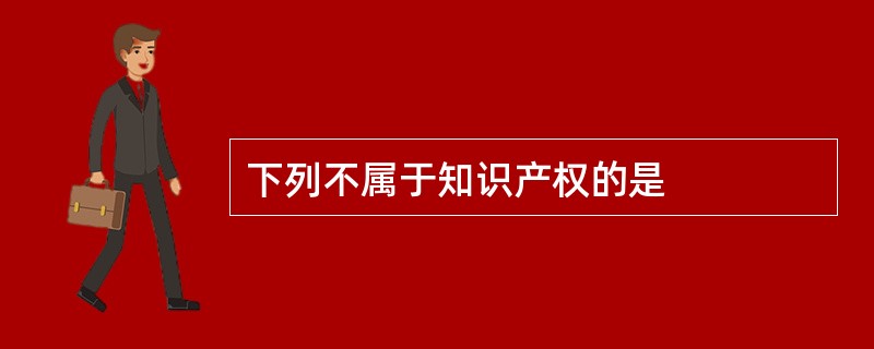 下列不属于知识产权的是