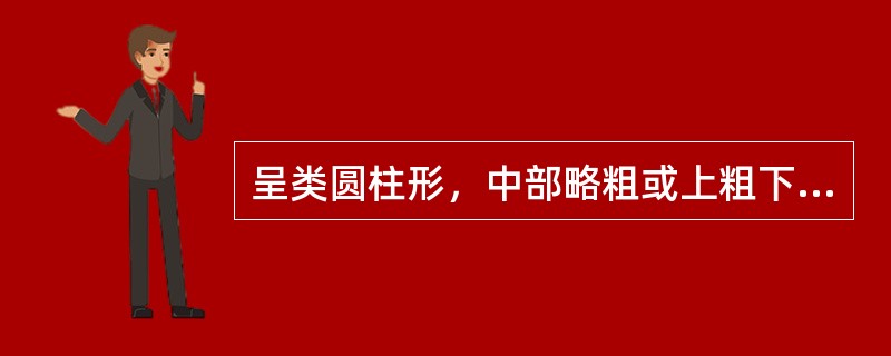 呈类圆柱形，中部略粗或上粗下细，有的微弯似羊角状。表面灰黄色或灰褐色，有不规则的纵沟、横长皮孔样突起及稀疏的横裂纹和须根痕。质坚实，不易折断，气特异似焦糖，味甘、微苦。该药材为