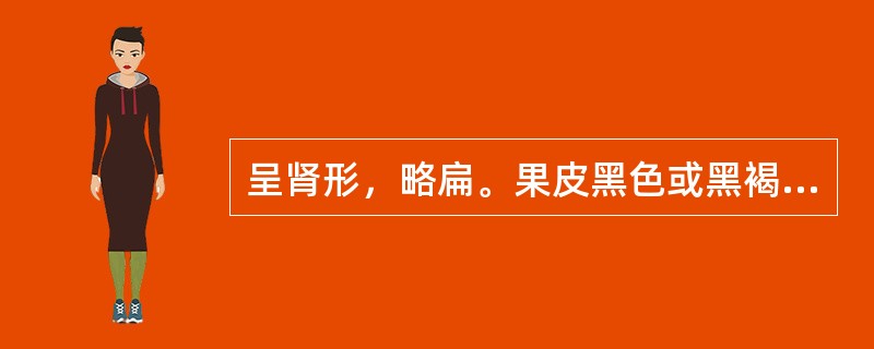 呈肾形，略扁。果皮黑色或黑褐色，具细微网状皱纹。微有香气，味辛、微苦。此药材是