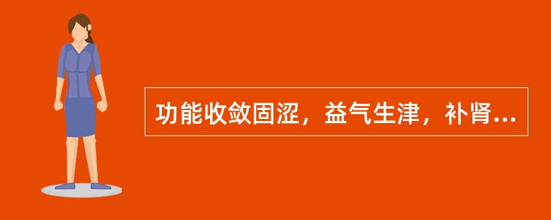 功能收敛固涩，益气生津，补肾宁心的药物是